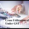 Cross Utilization of ITC Between Business Verticals Under the Same GSTIN